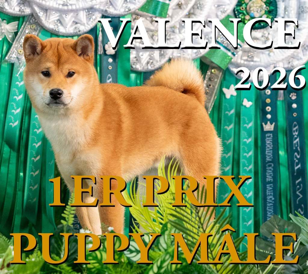 VELENCE.jpg