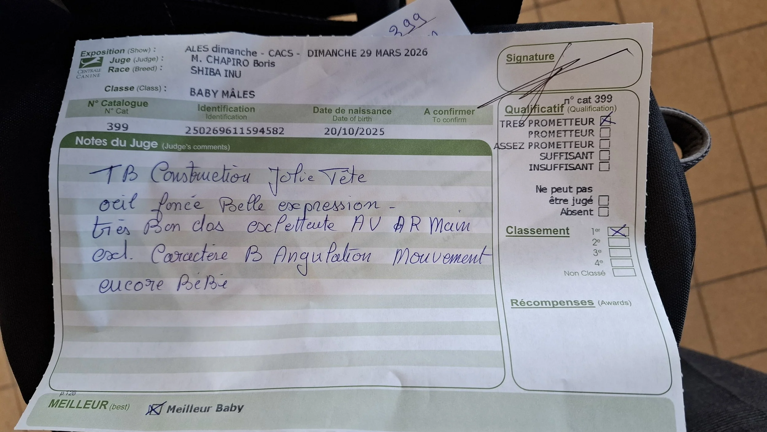 ace.jpg	Notes techniques du juge : excellente construction et caractère.