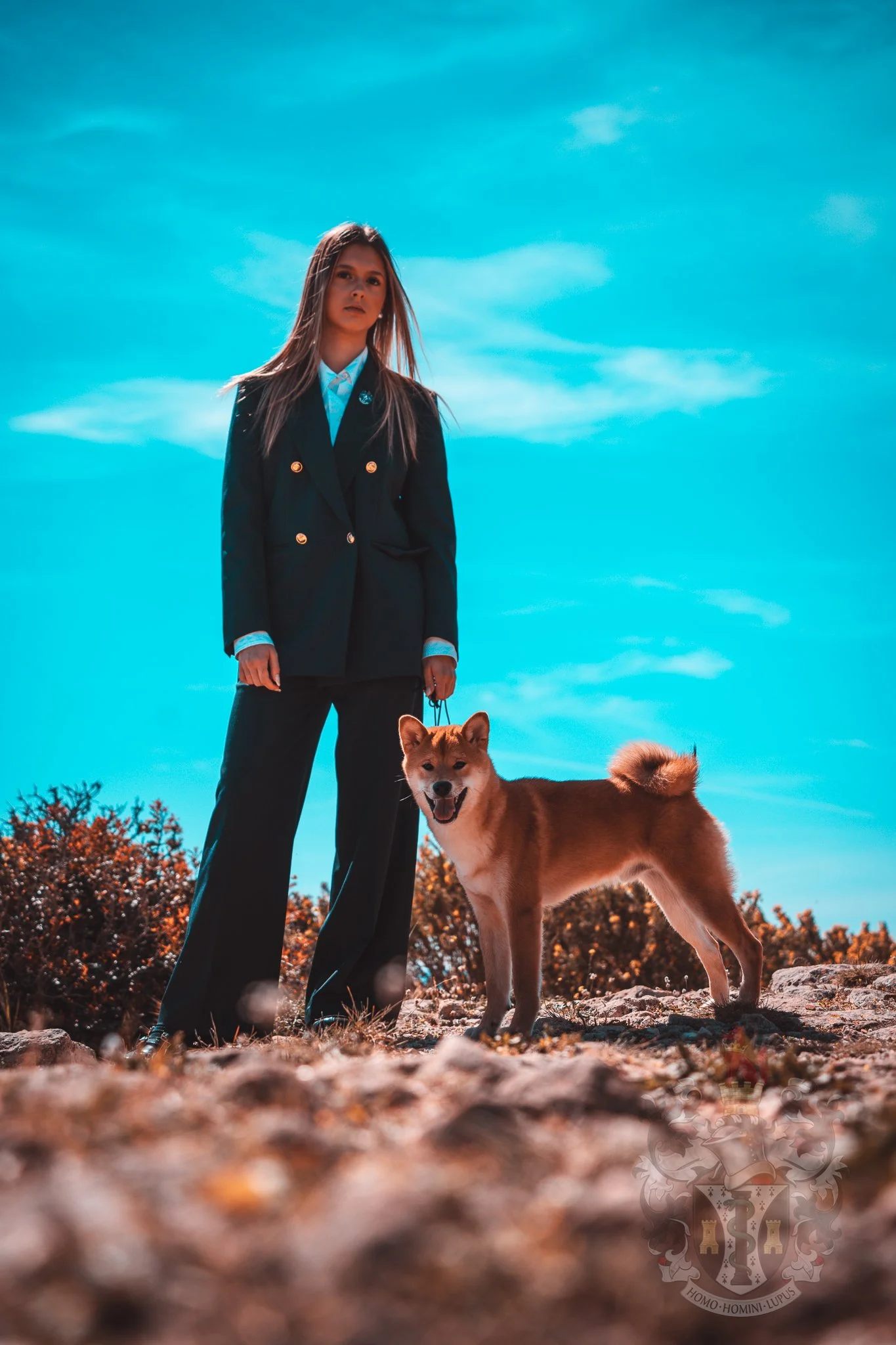 Moment de complicité et de socialisation pour un Shiba Inu de l'élevage Adams en bord de mer à Martigues, soulignant l'équilibre mental de nos sujets d'élite.