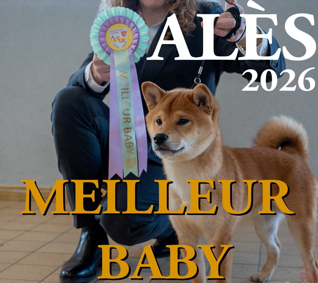 ales2026.png
