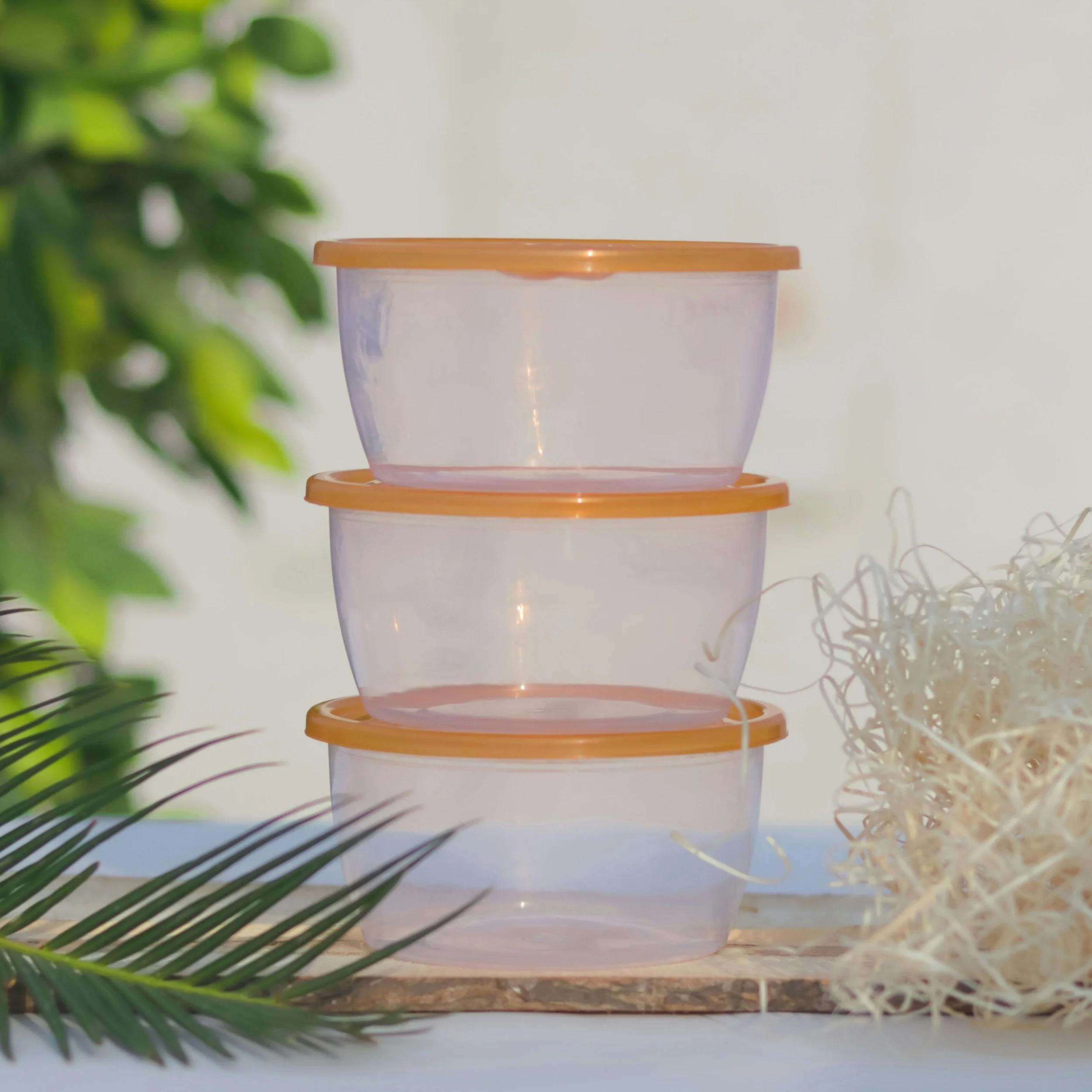 Why We Should Care About Plastics and Our Bodies