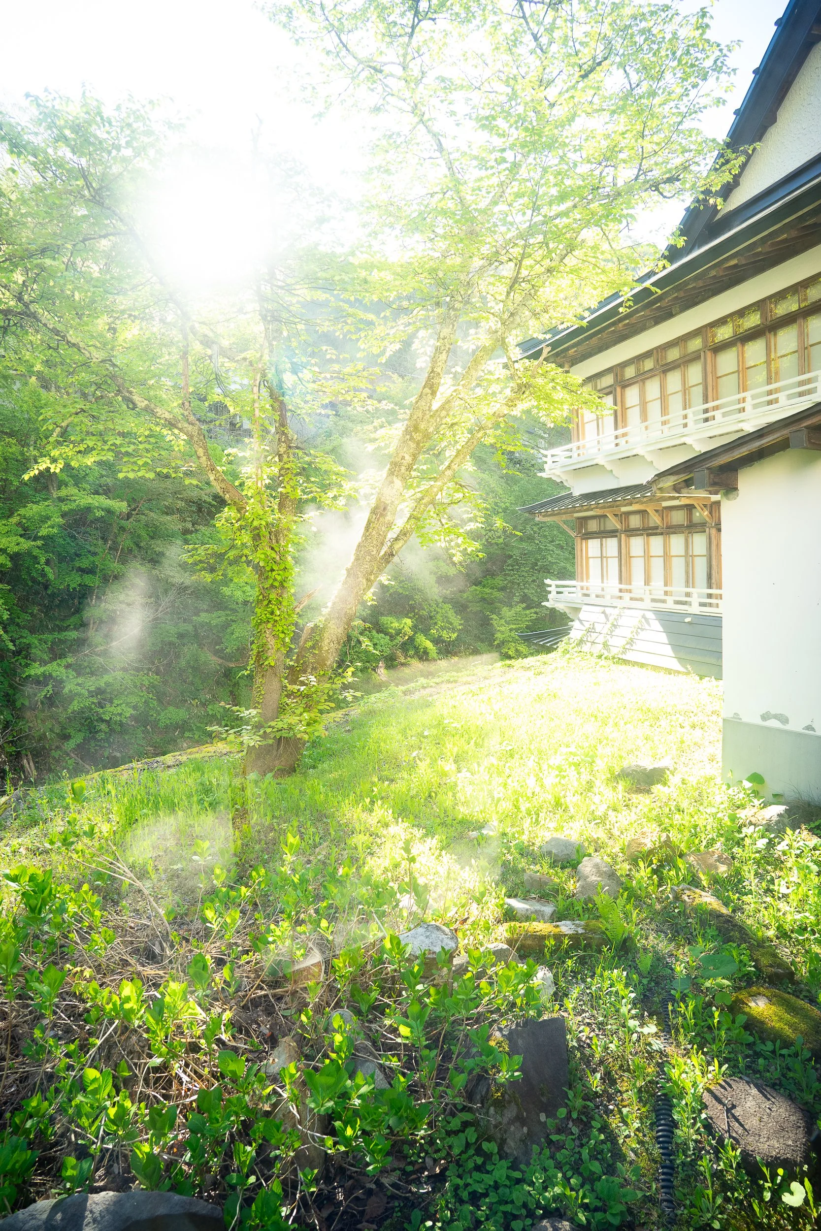Takaragawa-Onsen-Japan-37.jpg