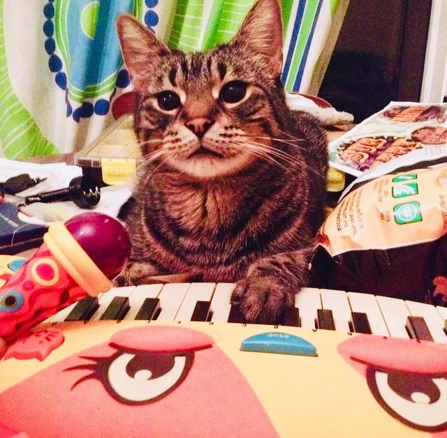 Little Brass Bird Studios