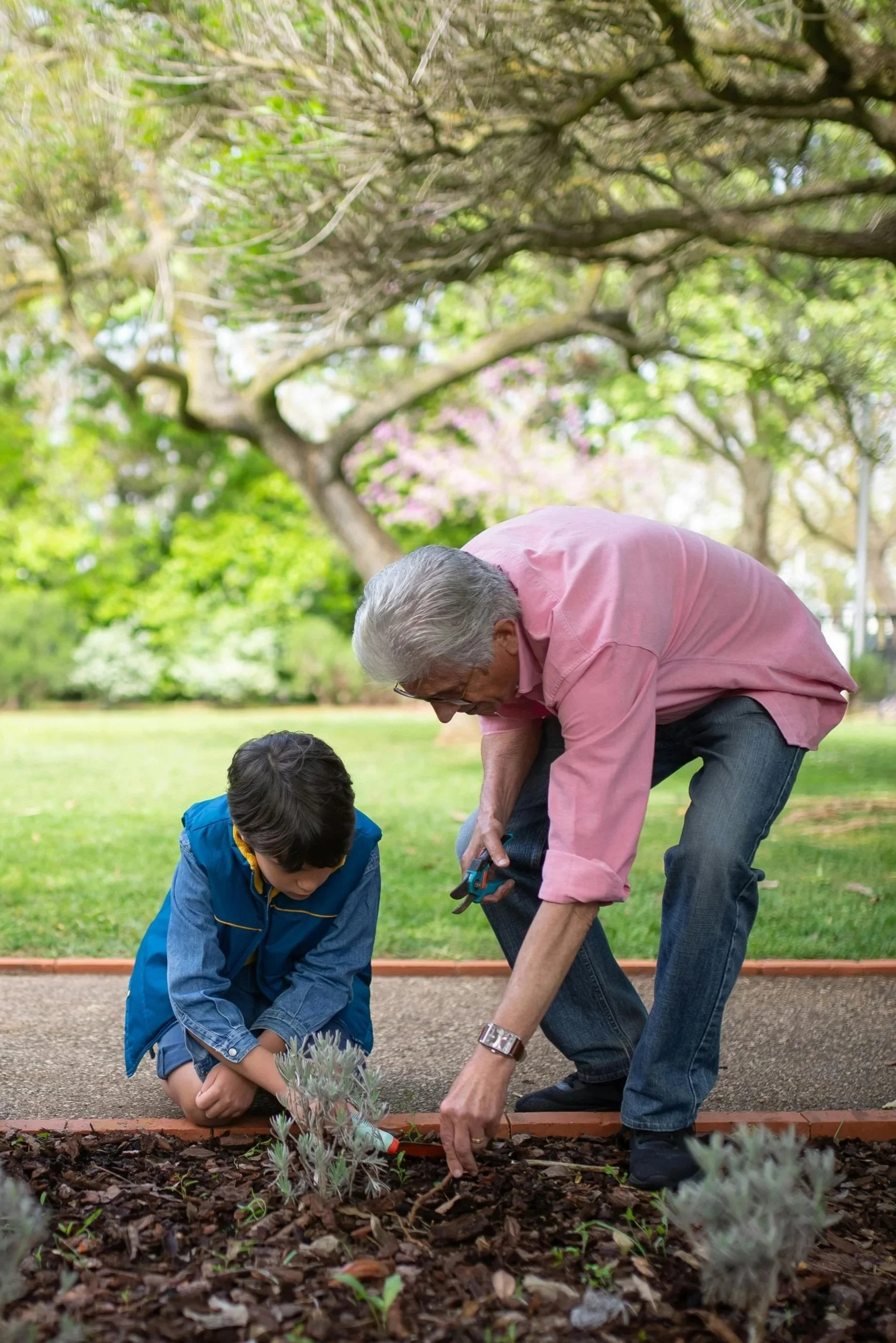 An elderly man and a young boy are gardening together outdoors under a large, leafy tree. They are crouched down planting or tending to small plants in a flower bed, with various gardening tools and plants around them. The setting is a park or garden with lush green grass and trees in the background.