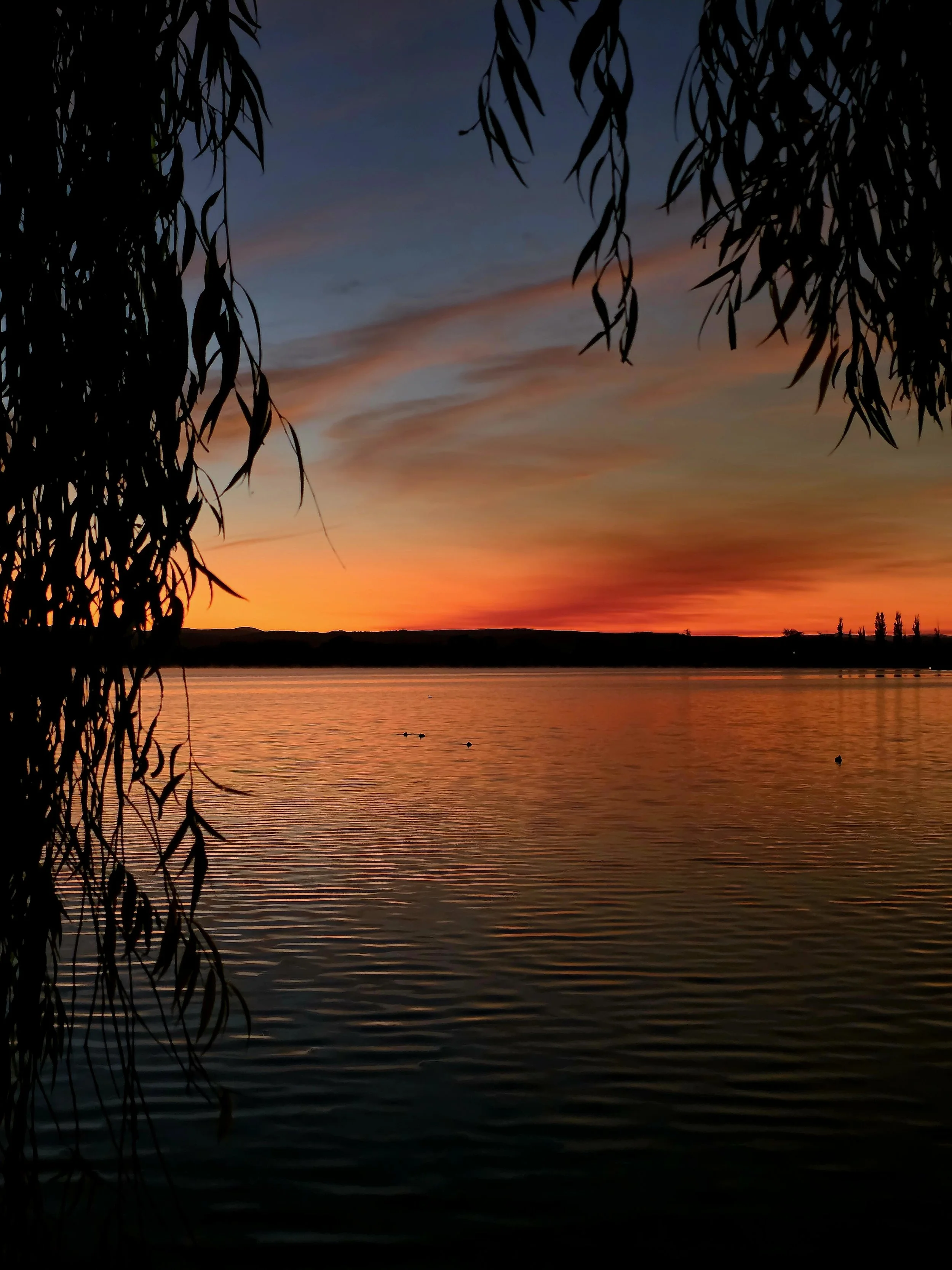 Wage Theft is Now a Crime: How Prepared is your Payroll?