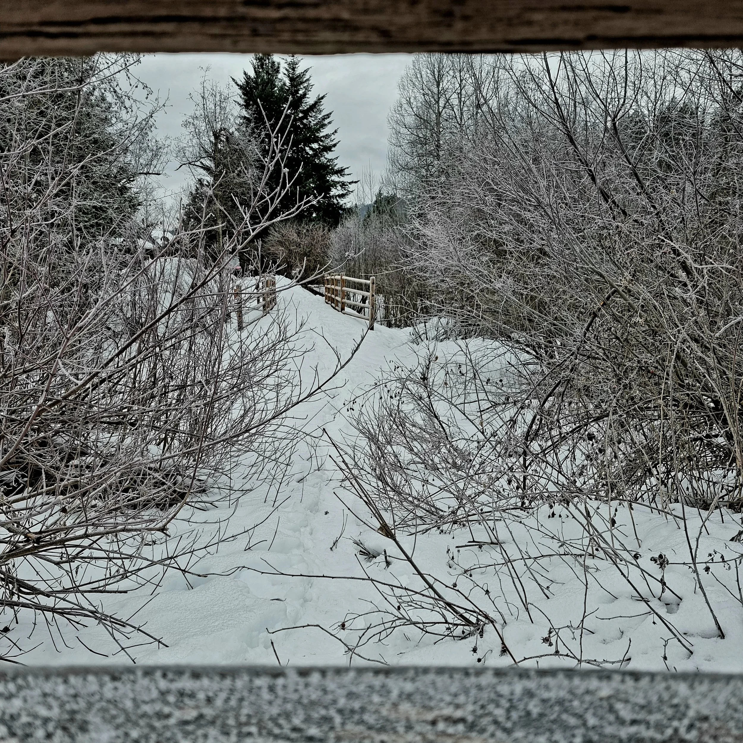 Flexible work and a recent FWC decision: what you should actually do next