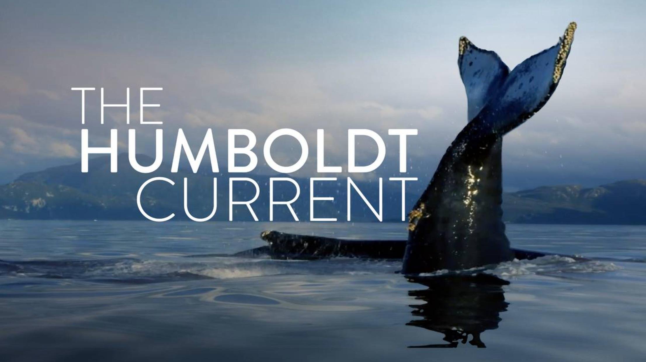 humboldtcurrent.jpg