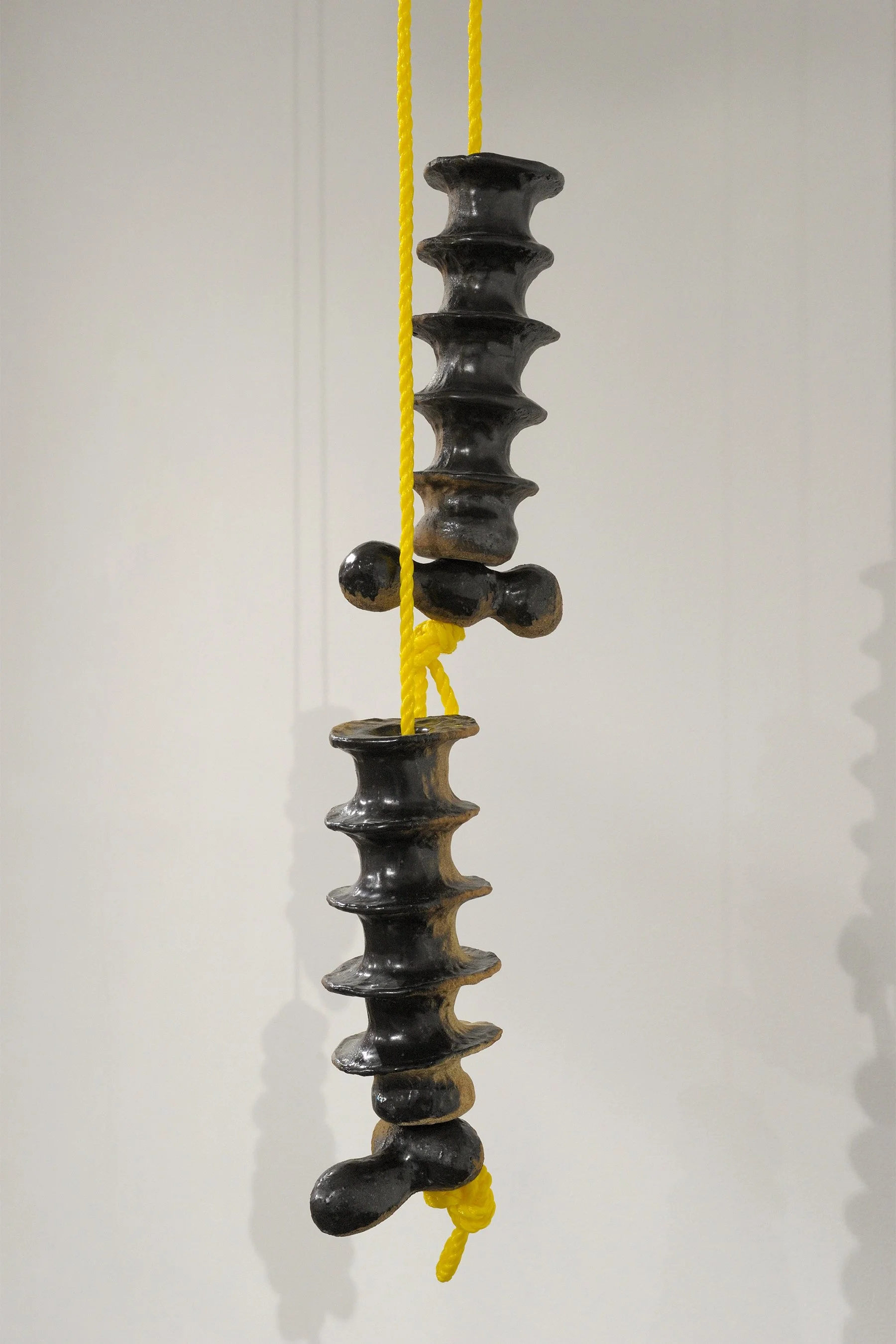 Virtebrae_PulleyPiece2_0904.jpg