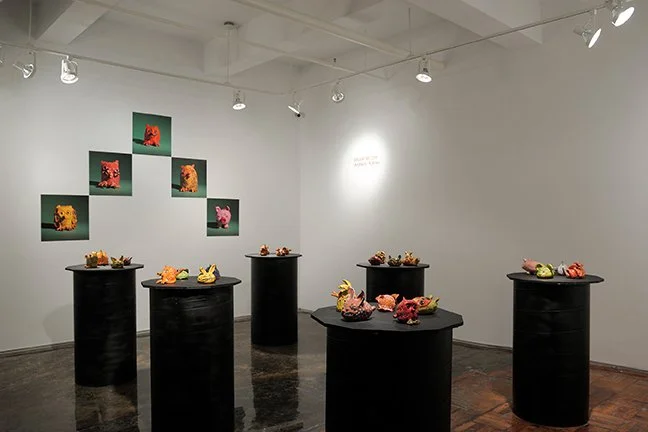 A.I.R. Gallery 2015: ARTIFACTS - Rattles