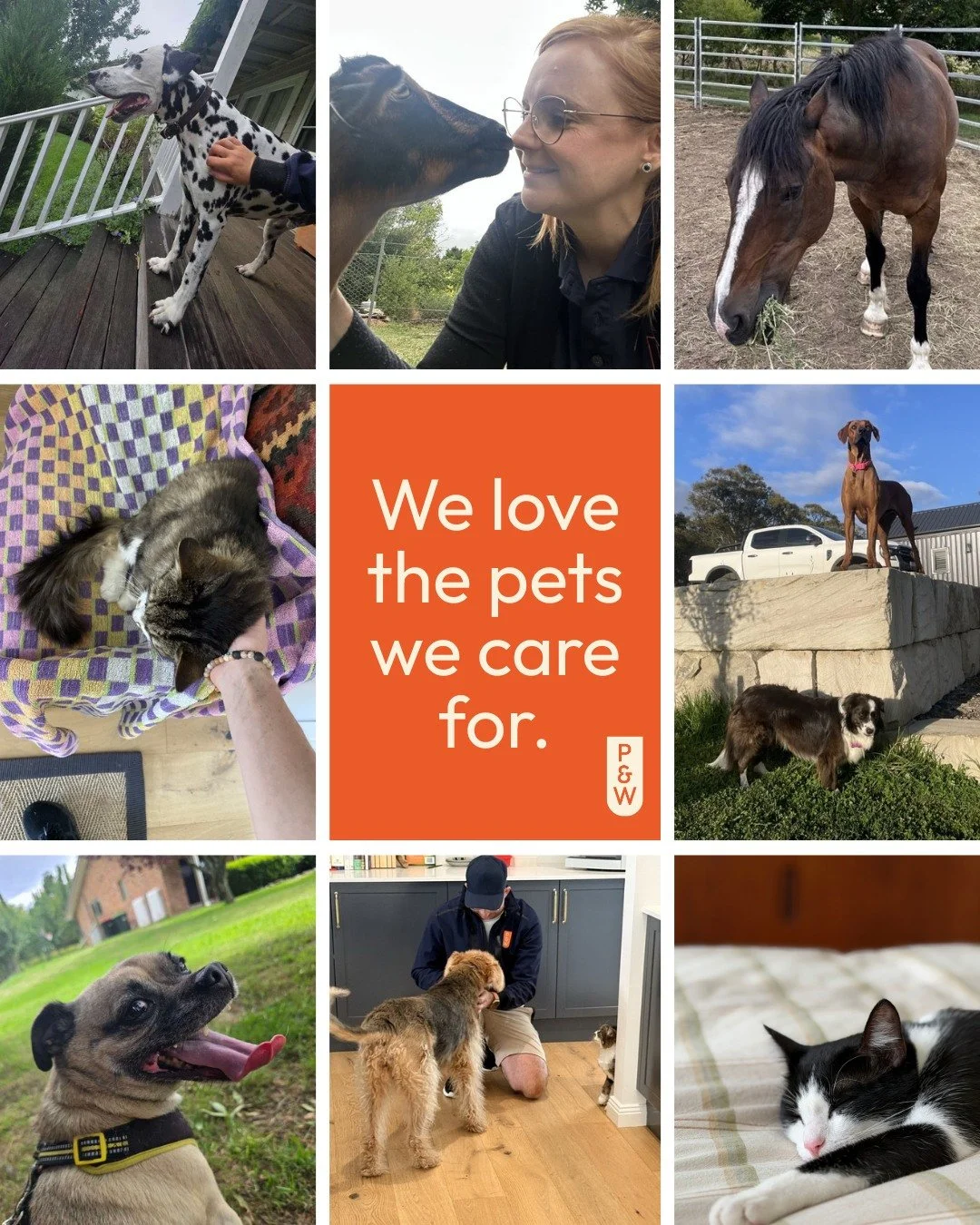 Happy Valentine&rsquo;s Day to all our beautiful fur clients and their fur parents. We love being able to shower them with love every visit - not just on Valentine&rsquo;s Day. ❤️🐾🥰