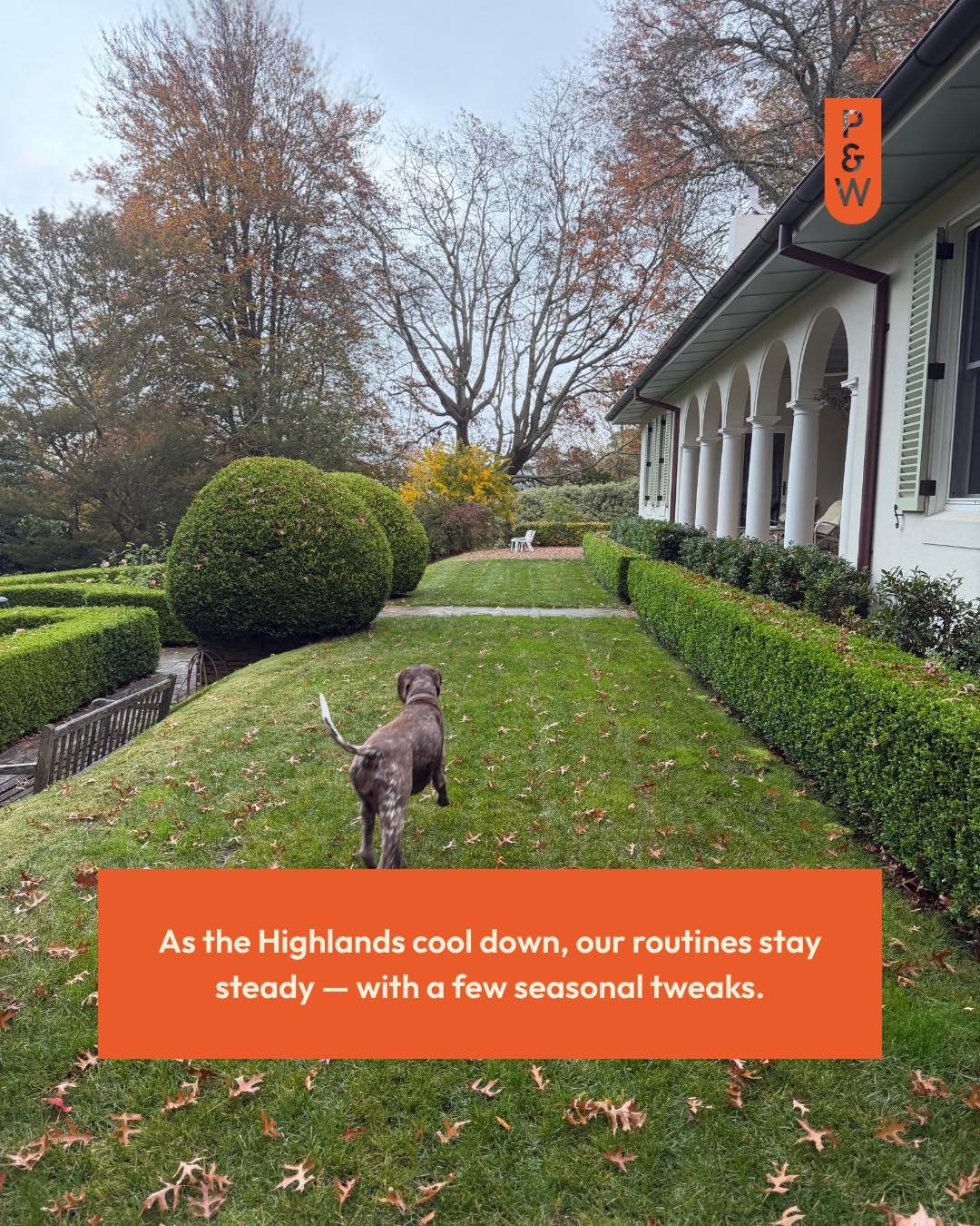 It&rsquo;s really starting to feel like autumn in the Highlands this week, with cooler evenings, damp starts and leaves changing colour. Your pet routines can stay steady during this time, so if you haven&rsquo;t booked in regular walks, pet care vis