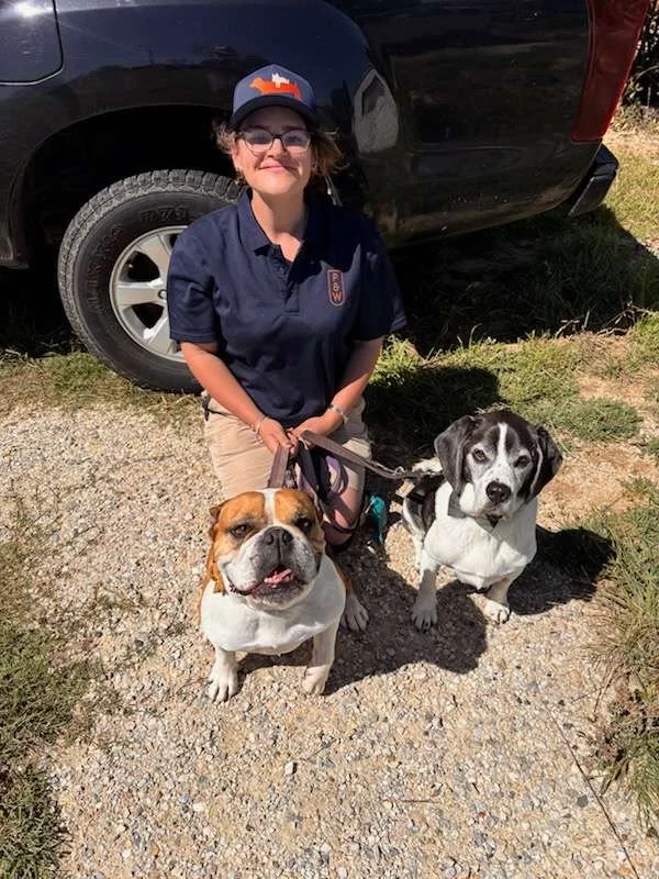 A woman with glasses and curly hair kneeling on gravel, holding two leashed dogs, one bulldog and one black and white mixed breed, in front of a parked black vehicle on a grassy area on a sunny day.