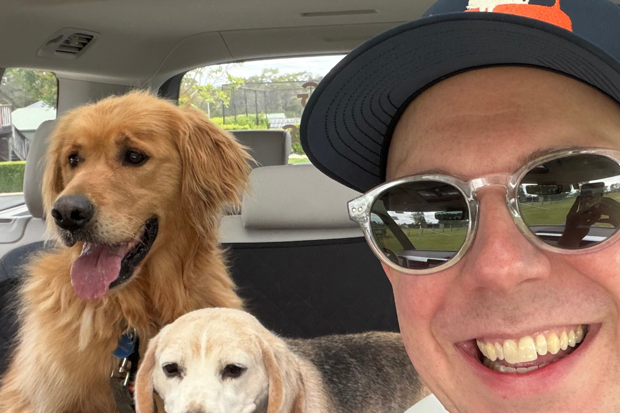 A person wearing sunglasses and a cap taking a selfie inside a car, with two dogs sitting on the backseat. One dog is a golden retriever and the other is a light-colored beagle.