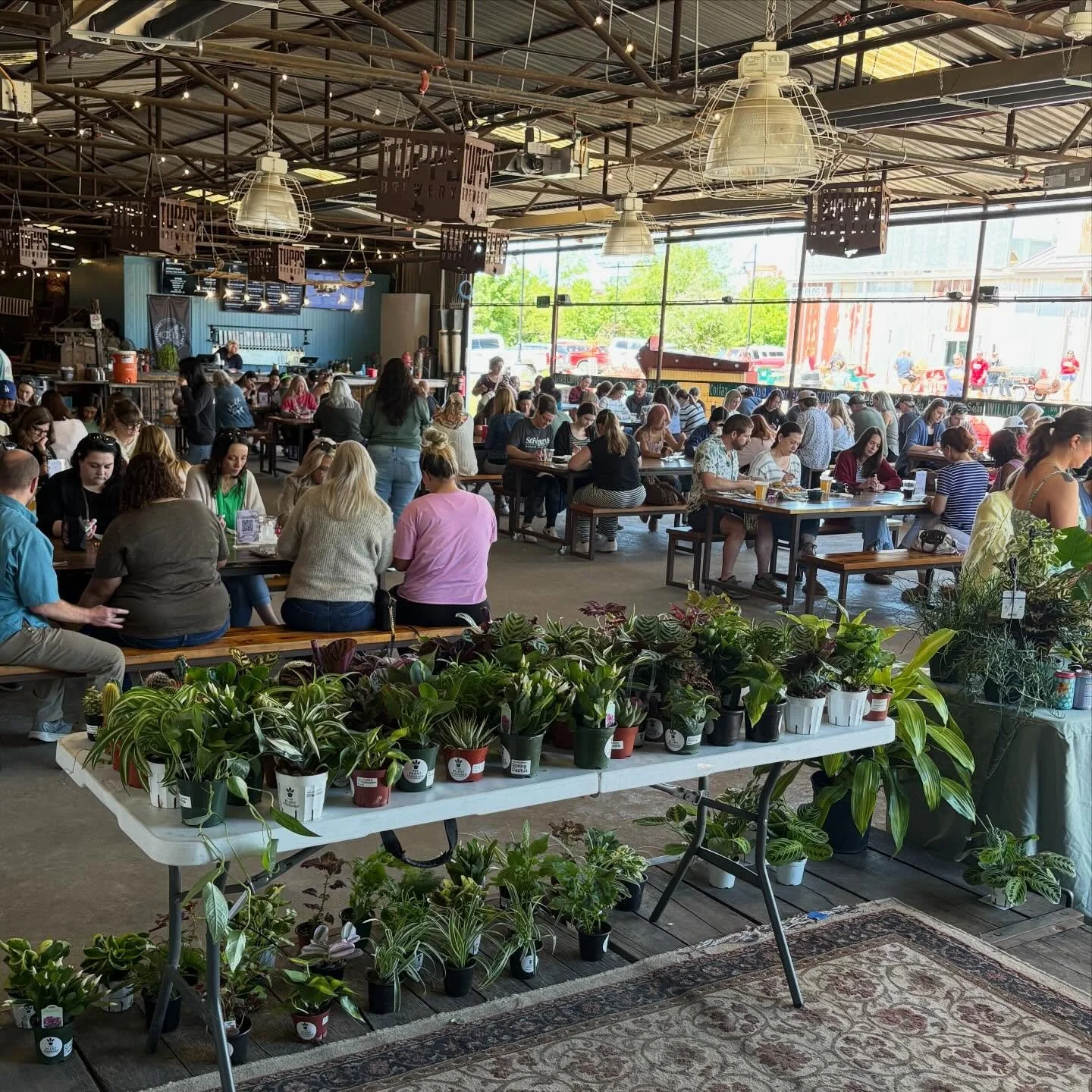 Plant bingo has been such a fun time this month! More events coming soon on our website.