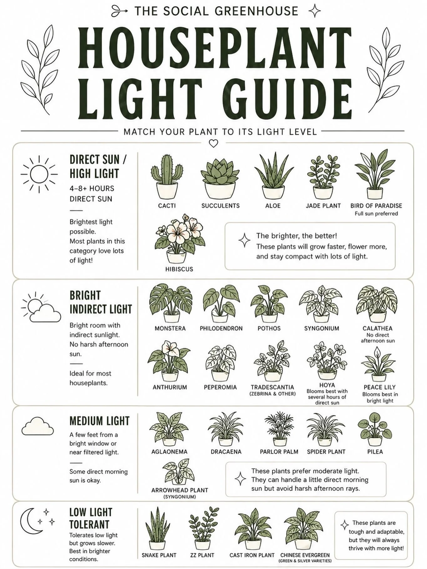 Find yourself a clueless plant parent after leaving one of our events? 🌿😅

We&rsquo;ve got you covered. Here&rsquo;s a quick light guide for some of the most common plant babies you&rsquo;ll bring home from Social Greenhouse.