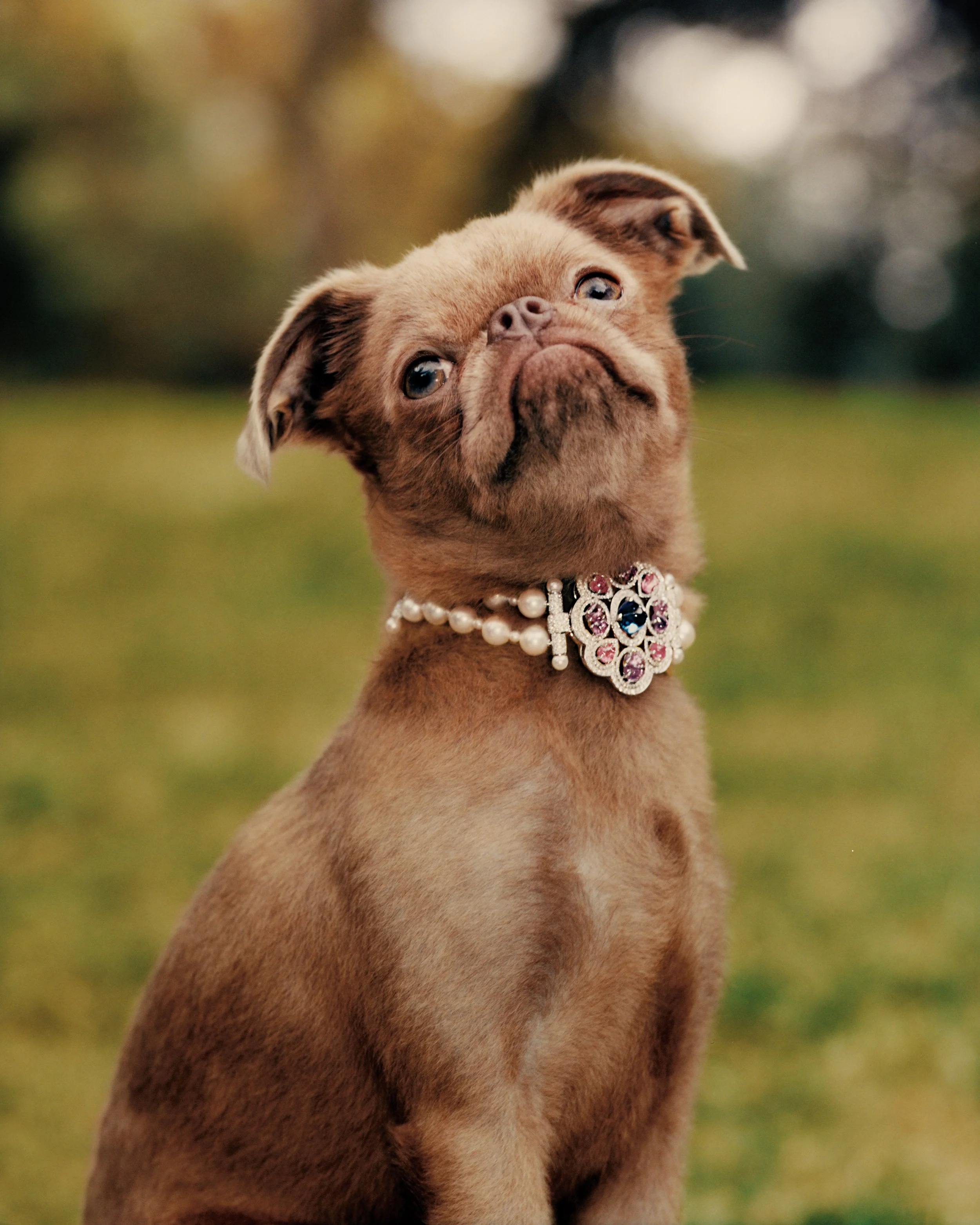 Vogue: Last Look Dec '24