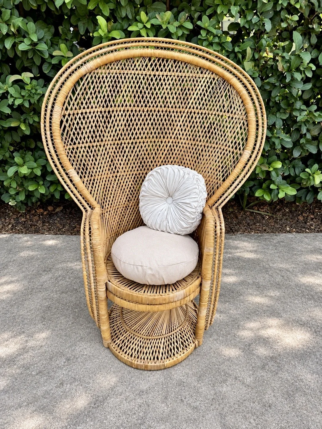 Wicker peacock chair rental with neutral cushions perfect for baby showers, bridal showers & guest of honor seating for events throughout Oviedo & Central Florida.