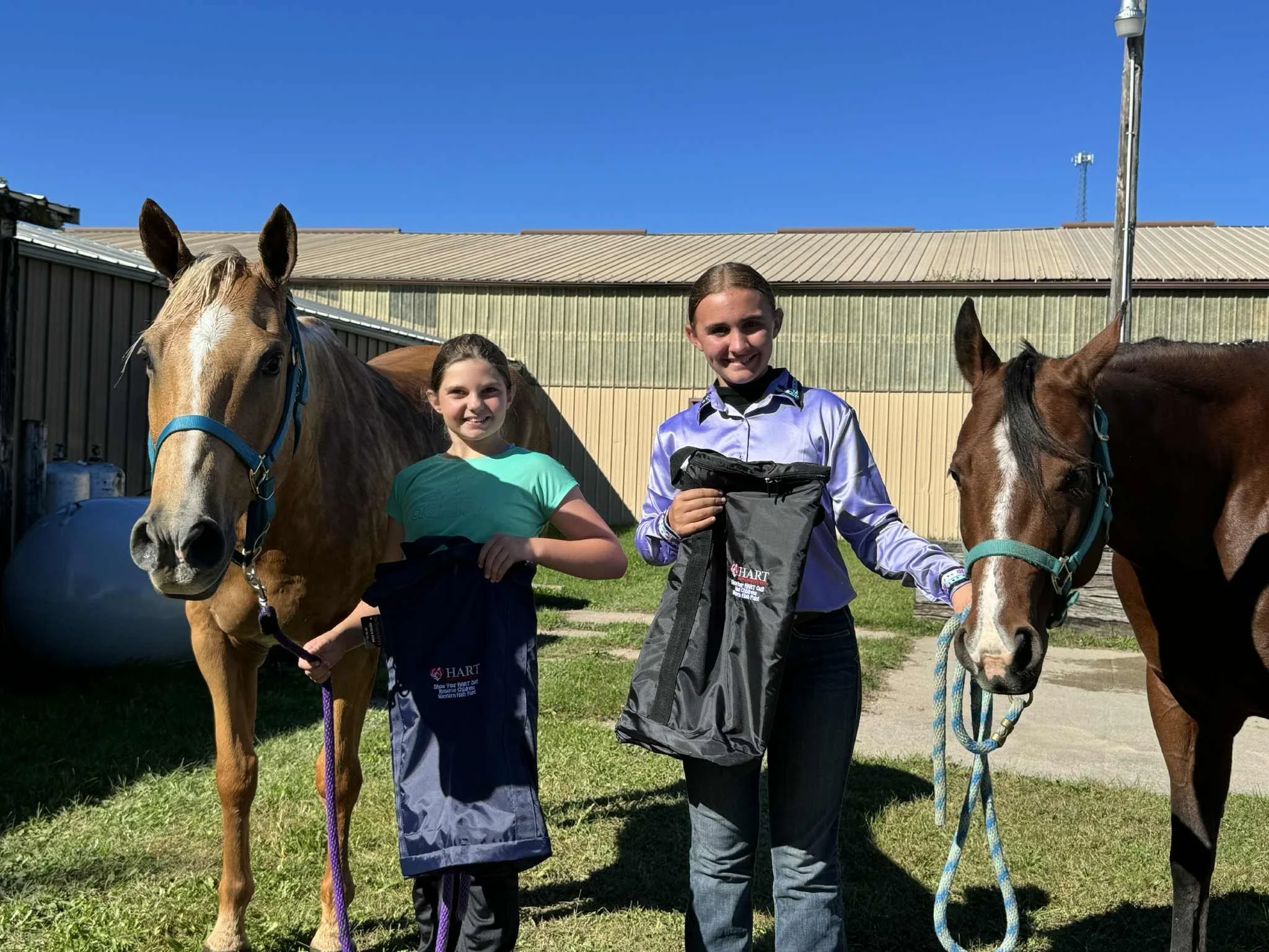 Show Your HART Out! Open Horse Show