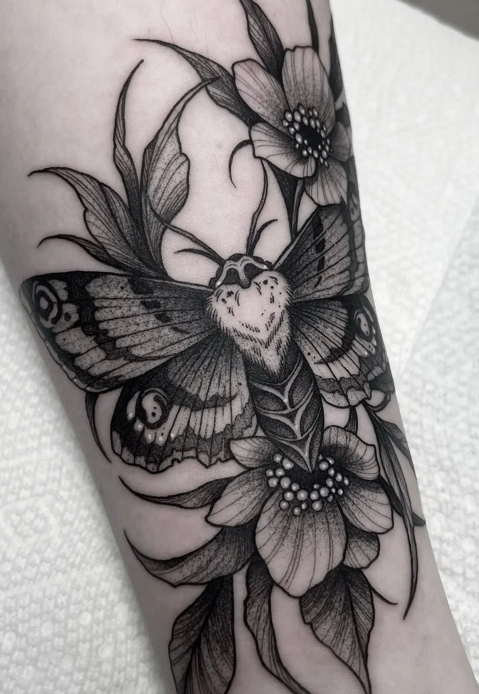Blackwork tattoo Rochester NY Moth floral