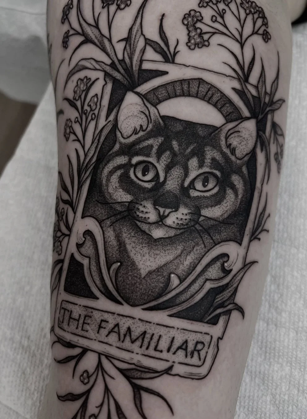 Blackwork tattoo Rochester NY Pet portrait cat tarot card floral