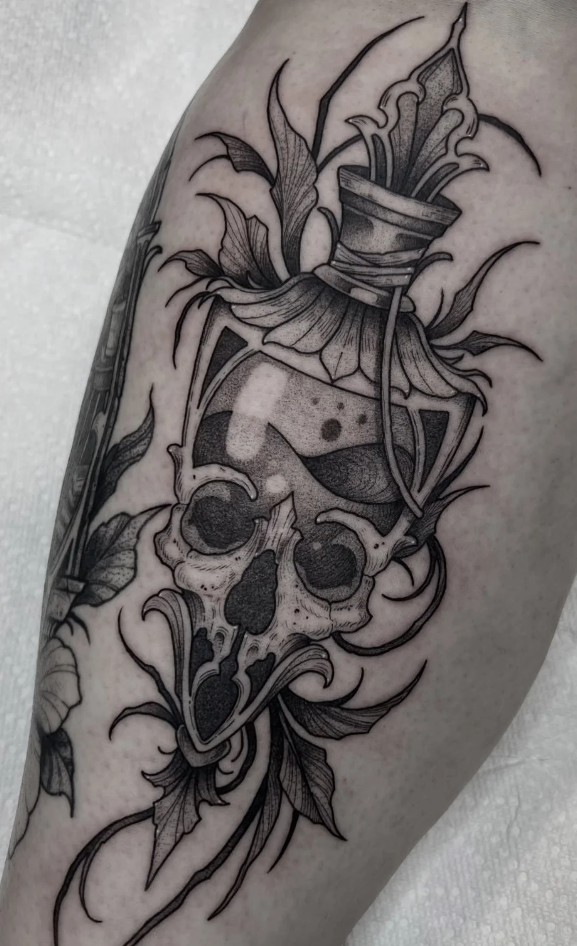 Blackwork tattoo Rochester NY Potion bottle skull 