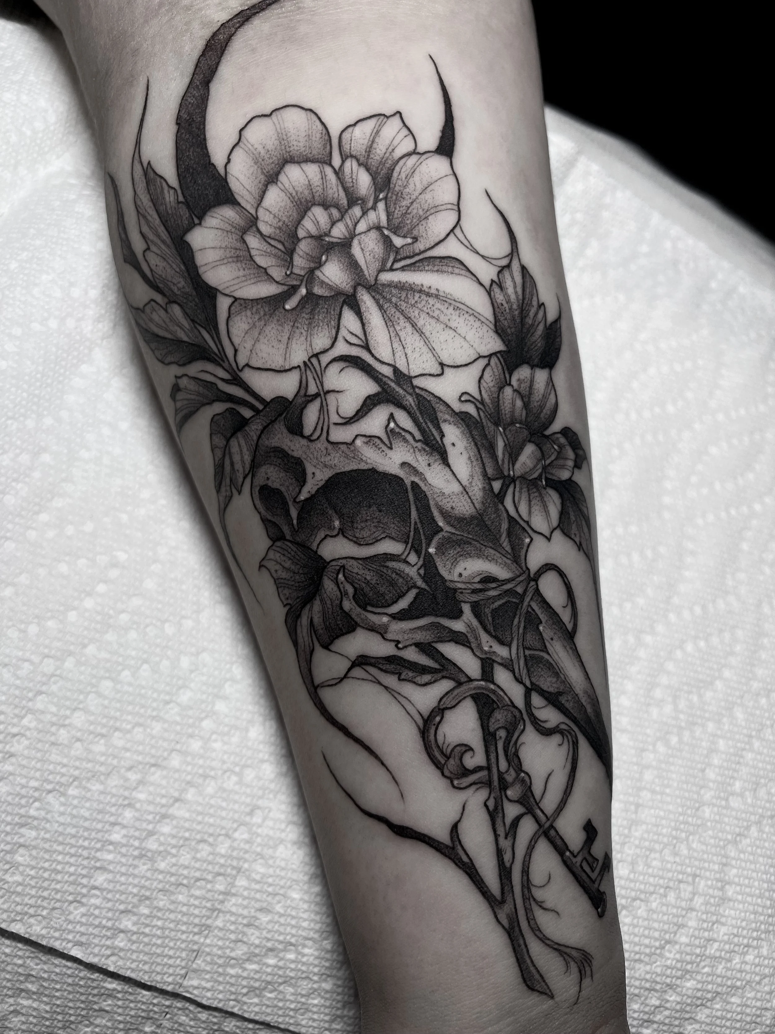 Blackwork tattoo Rochester NY Bird skull floral Crescent moon