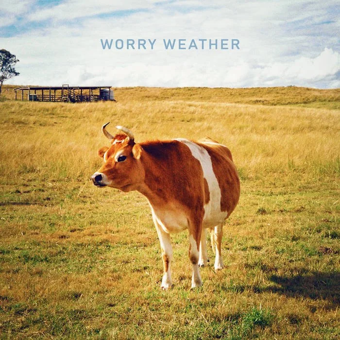 Hiding in the Trees - Worry Weather (Production, Mixing)