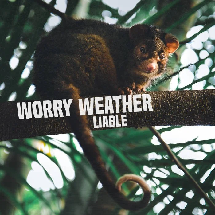 Liable - Worry Weather (Production, Mixing)