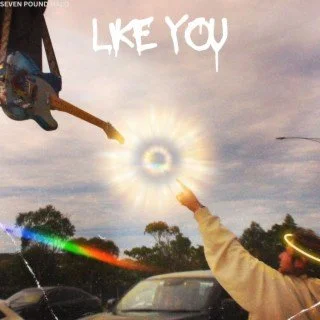Like You - Seven Pound Halo (Engineering)