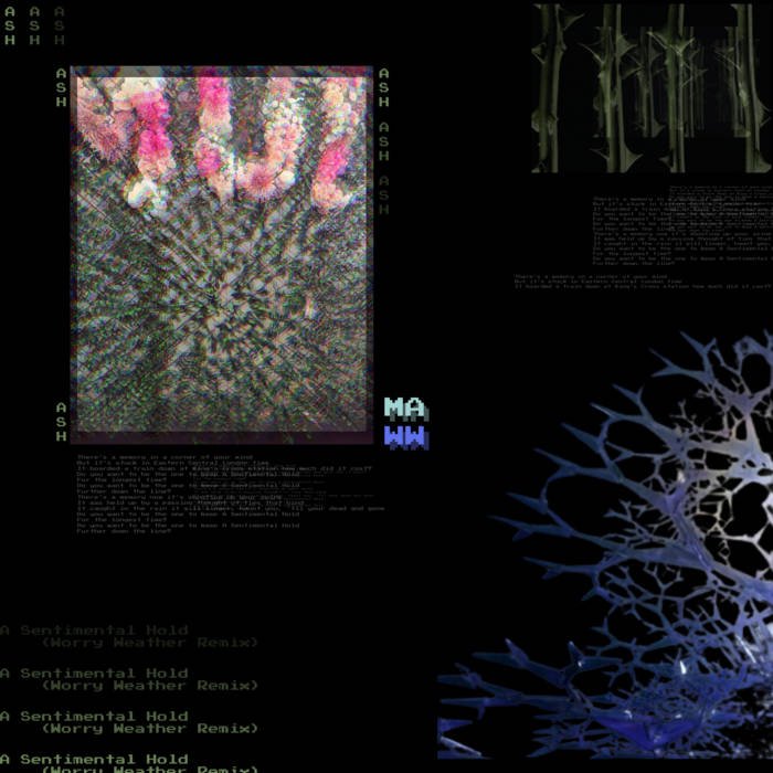 A Sentimental Hold (Worry Weather Remix) - Mode Atlanta (Engineering, Mixing)