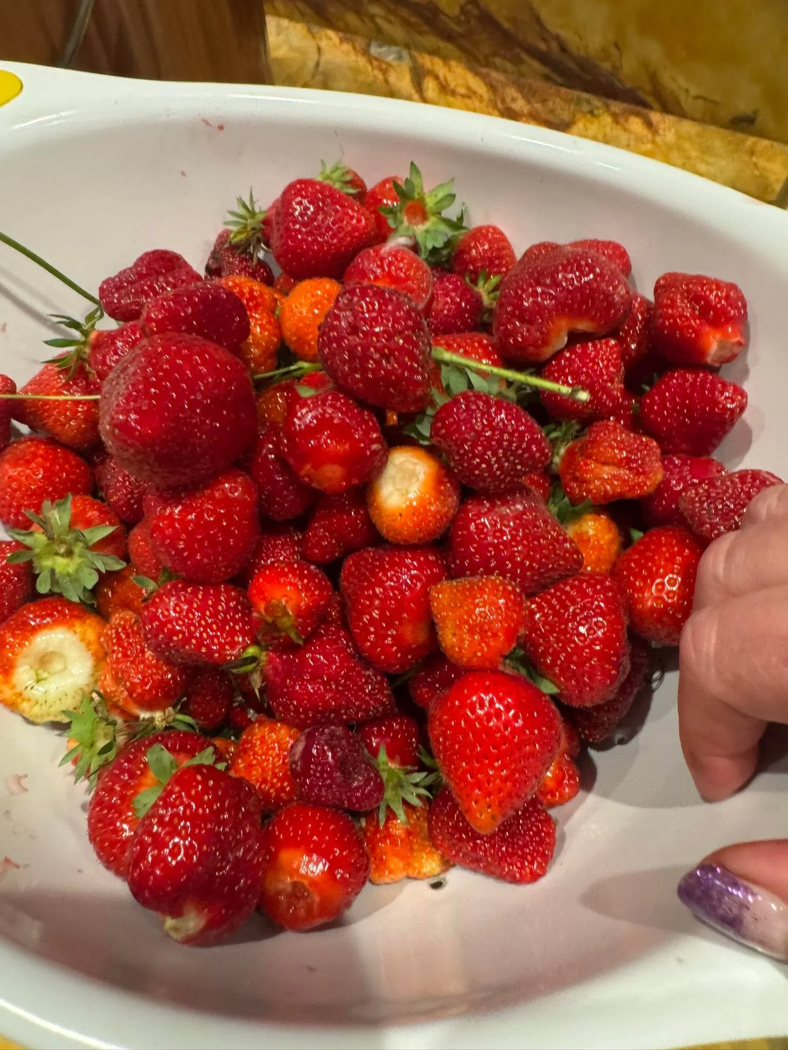 Not bad for the first picking