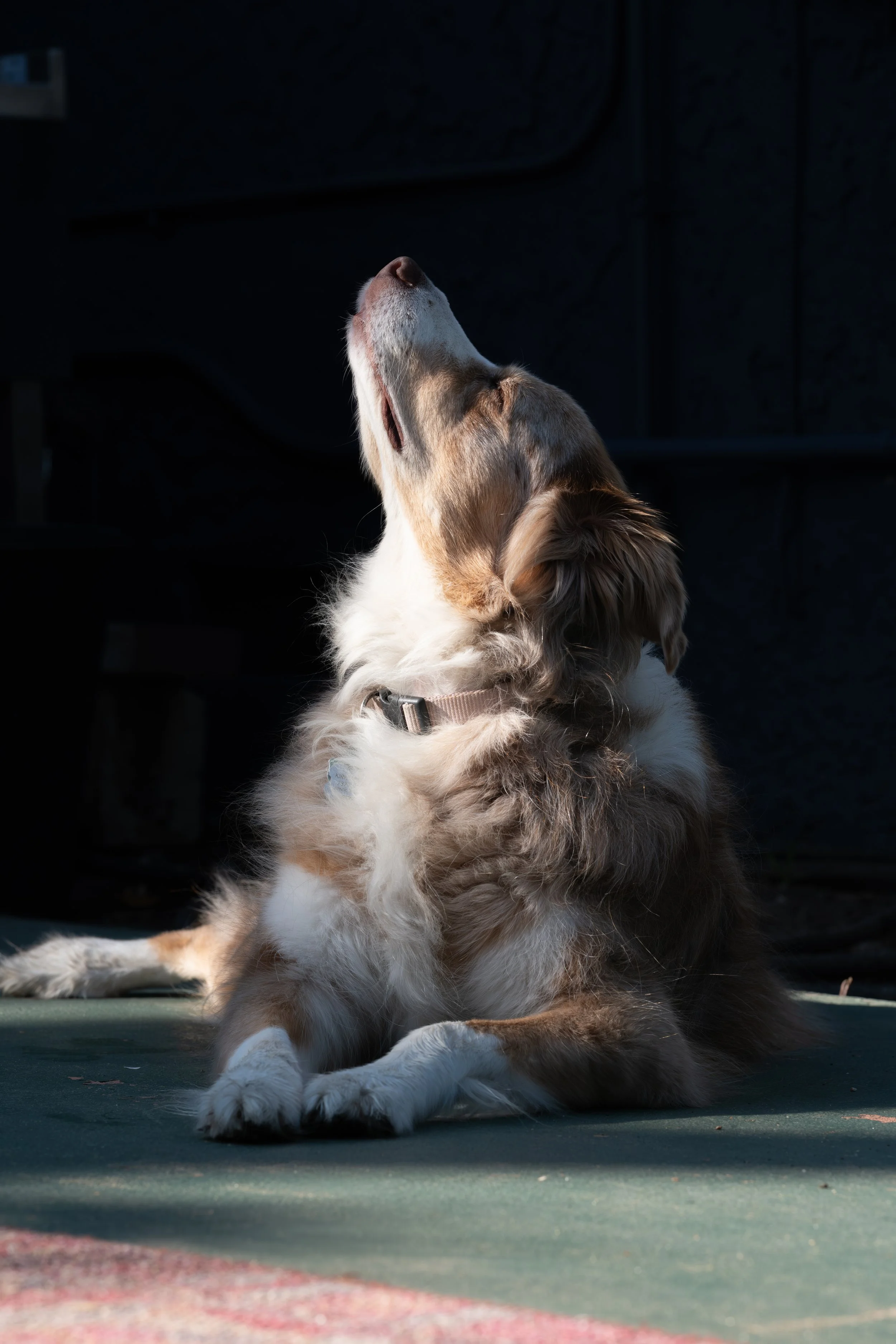 DSCF8007-Enhanced-NR copy.jpg