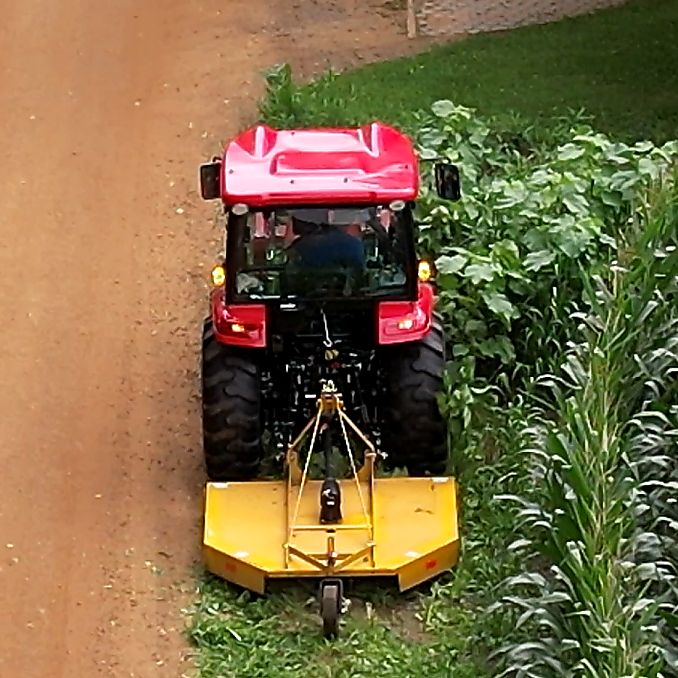 A red tractor mowing a green cornfield along a dirt road.