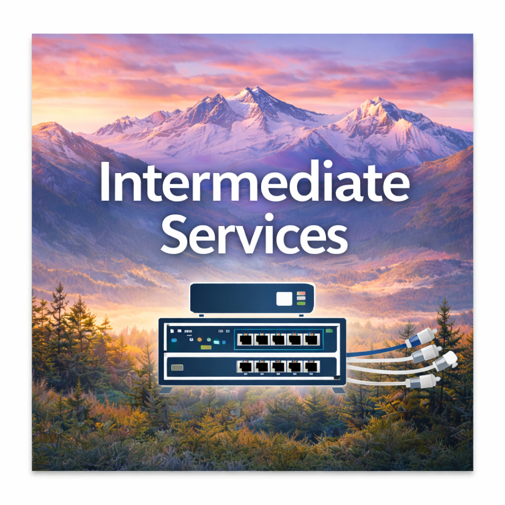 Intermediate IT Services