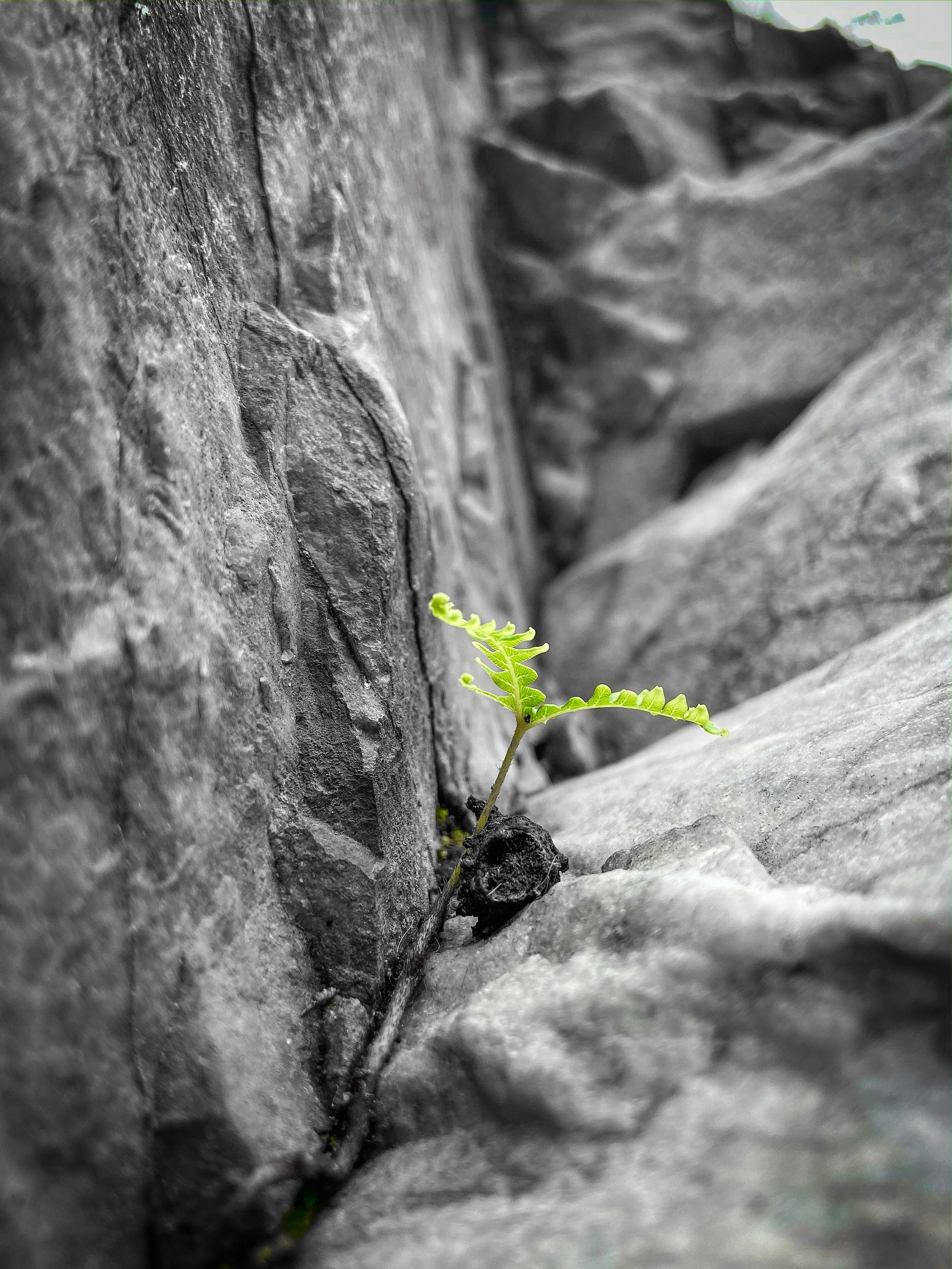 The Army I Assembled While Rebuilding My Life: Part Two