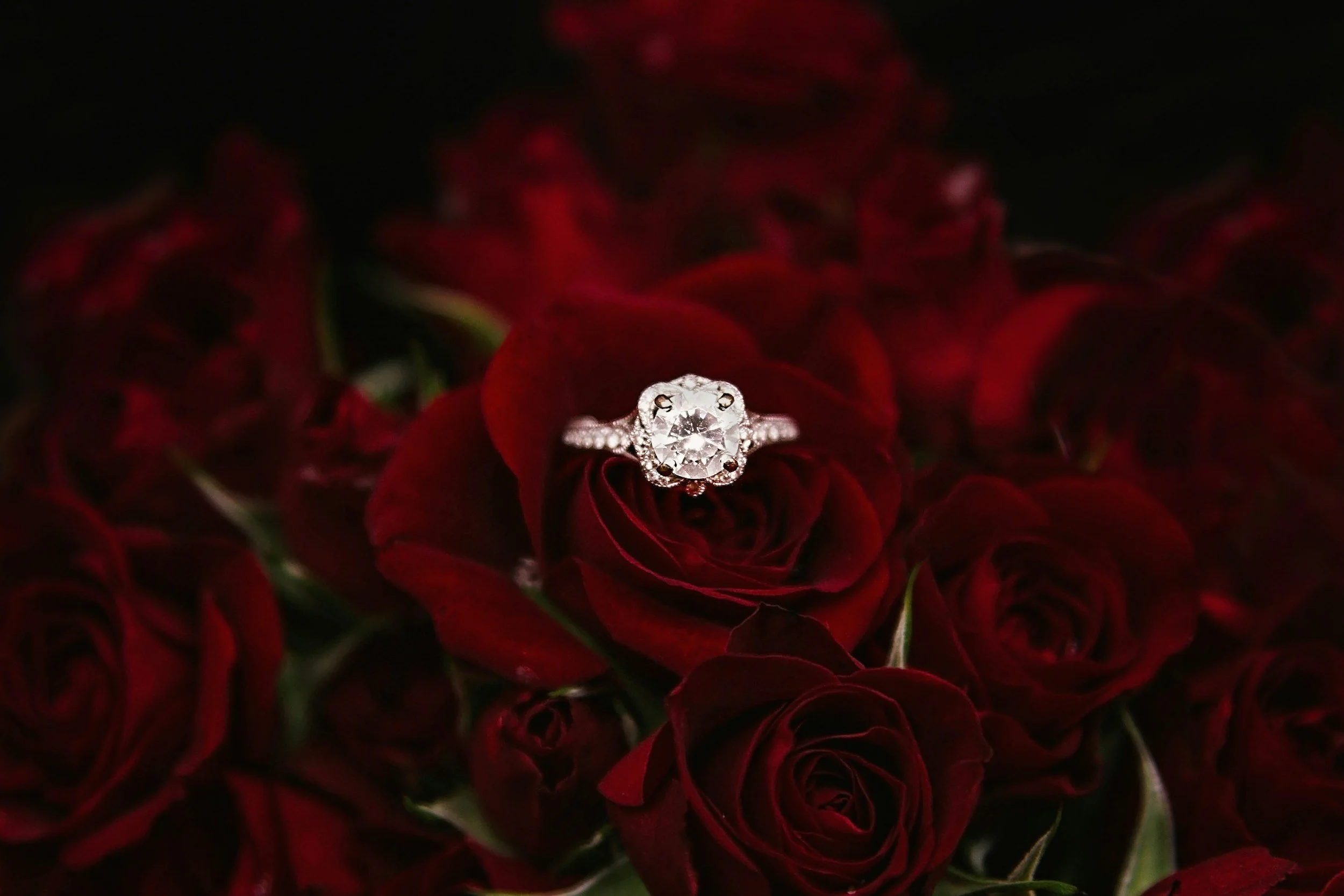 A sparkling diamond engagement ring rests on a dark red rose surrounded by more roses.