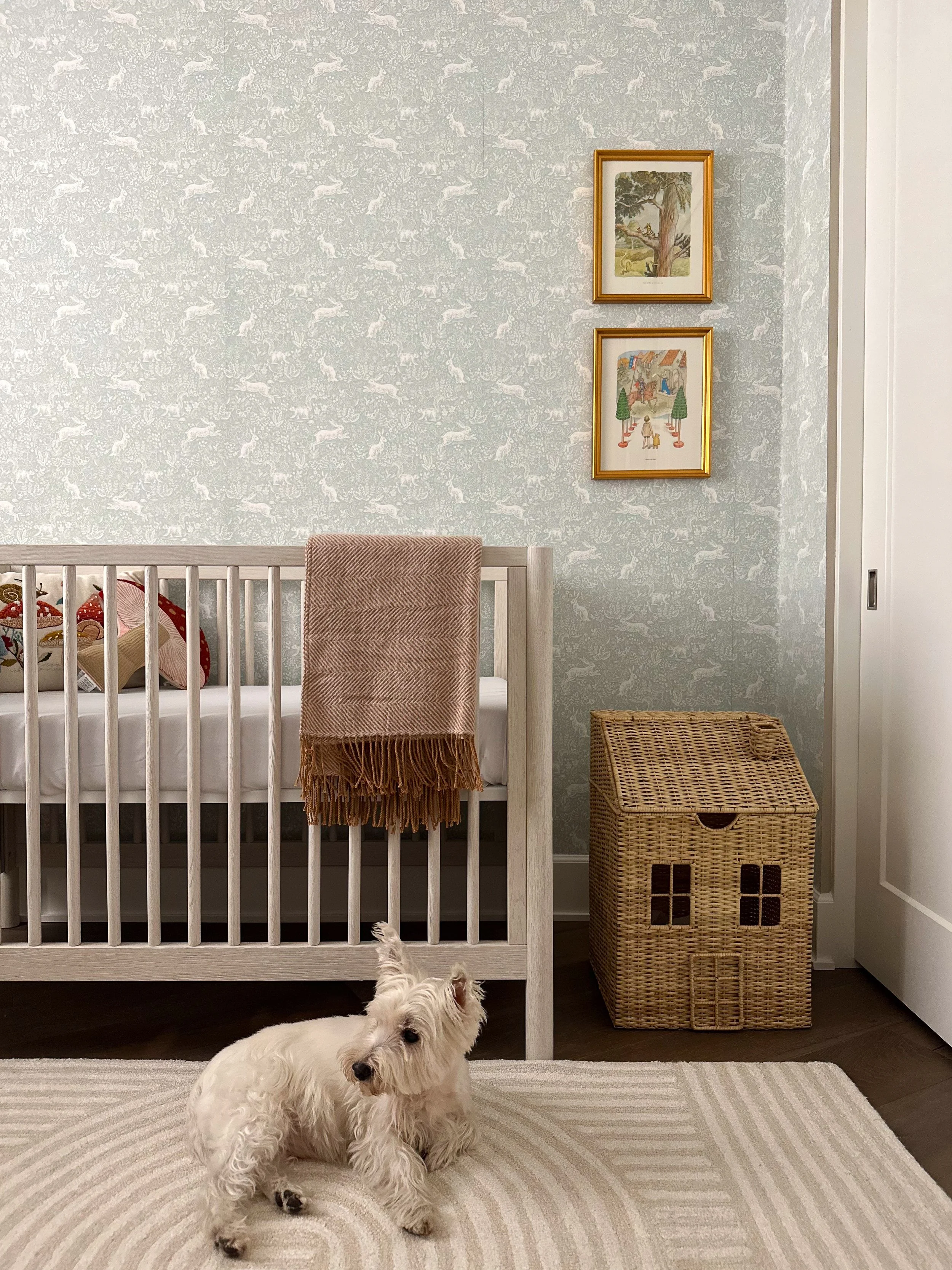 A cozy nursery with a white crib, a small white dog sitting on a beige rug, a woven basket shaped like a house, and two framed pictures on the patterned light blue wall.