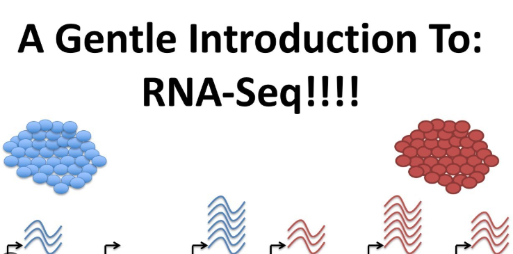 Future Science: RNA Sequencing (Transcriptomics) Predicts Embryo Viability Better than PGT-A