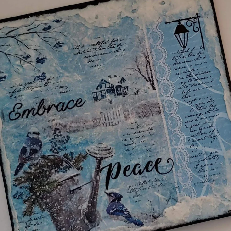 Winter Bird Project - Embrace Peace