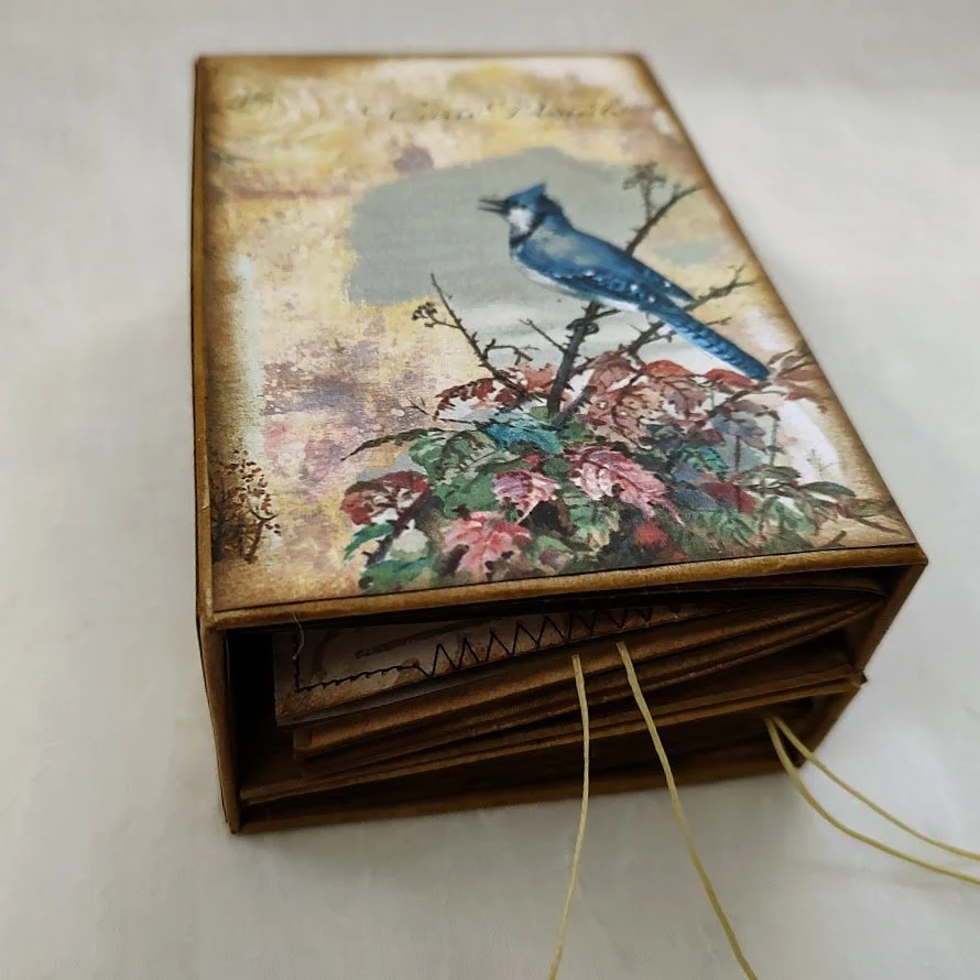 Video - GDT Project - Winter Birds Small Lapbook - Fifi's Digital Designs