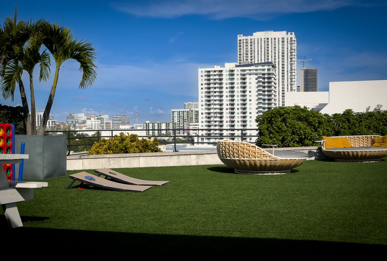 Rooftop garden with lounge chairs, outdoor seating, a palm tree, green bushes, and city buildings in the background during the daytime.