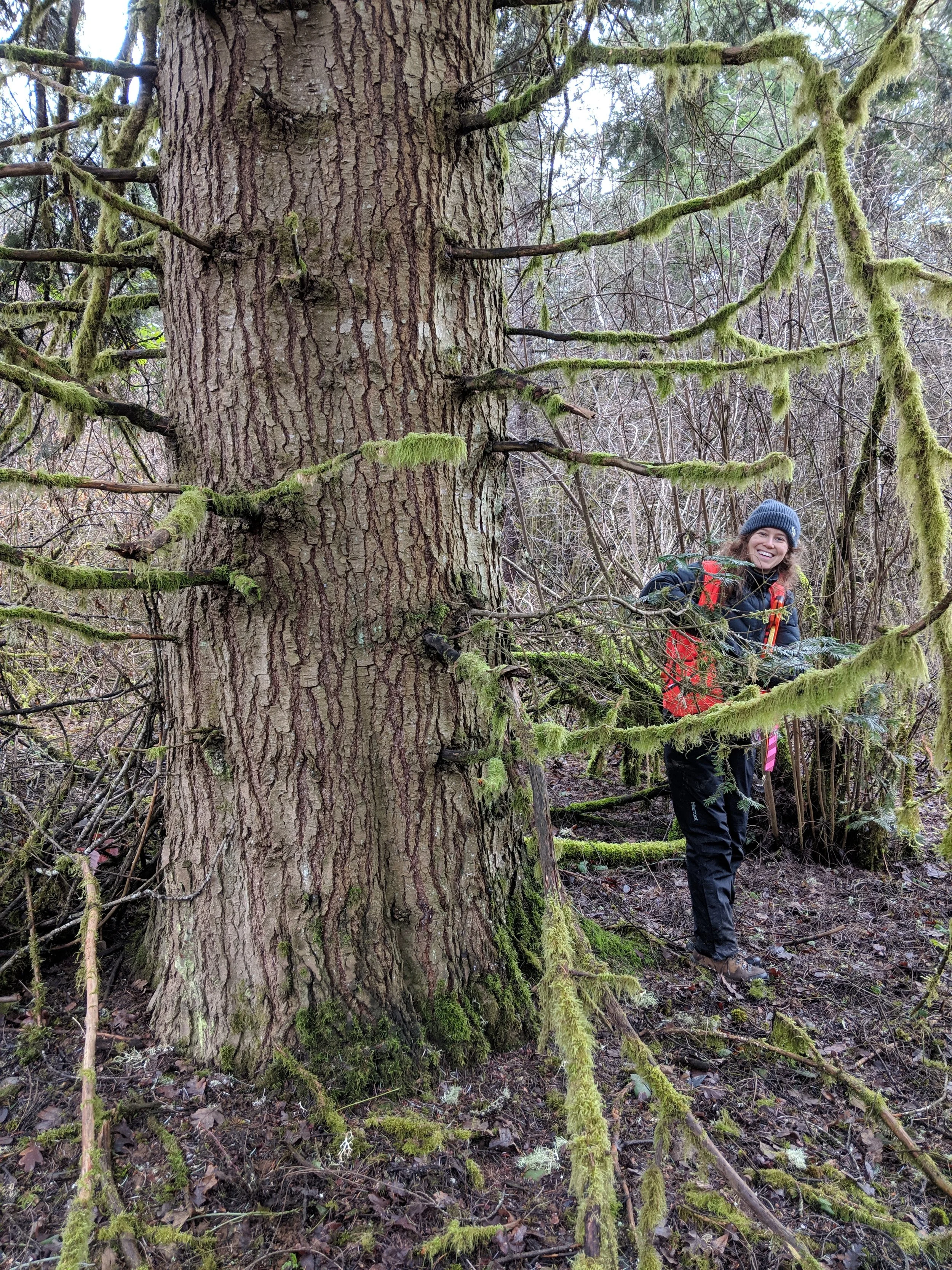 A woman with a grey beanie, black jacket, and red backpack smiling while standing behind a large moss-covered tree in a forest.