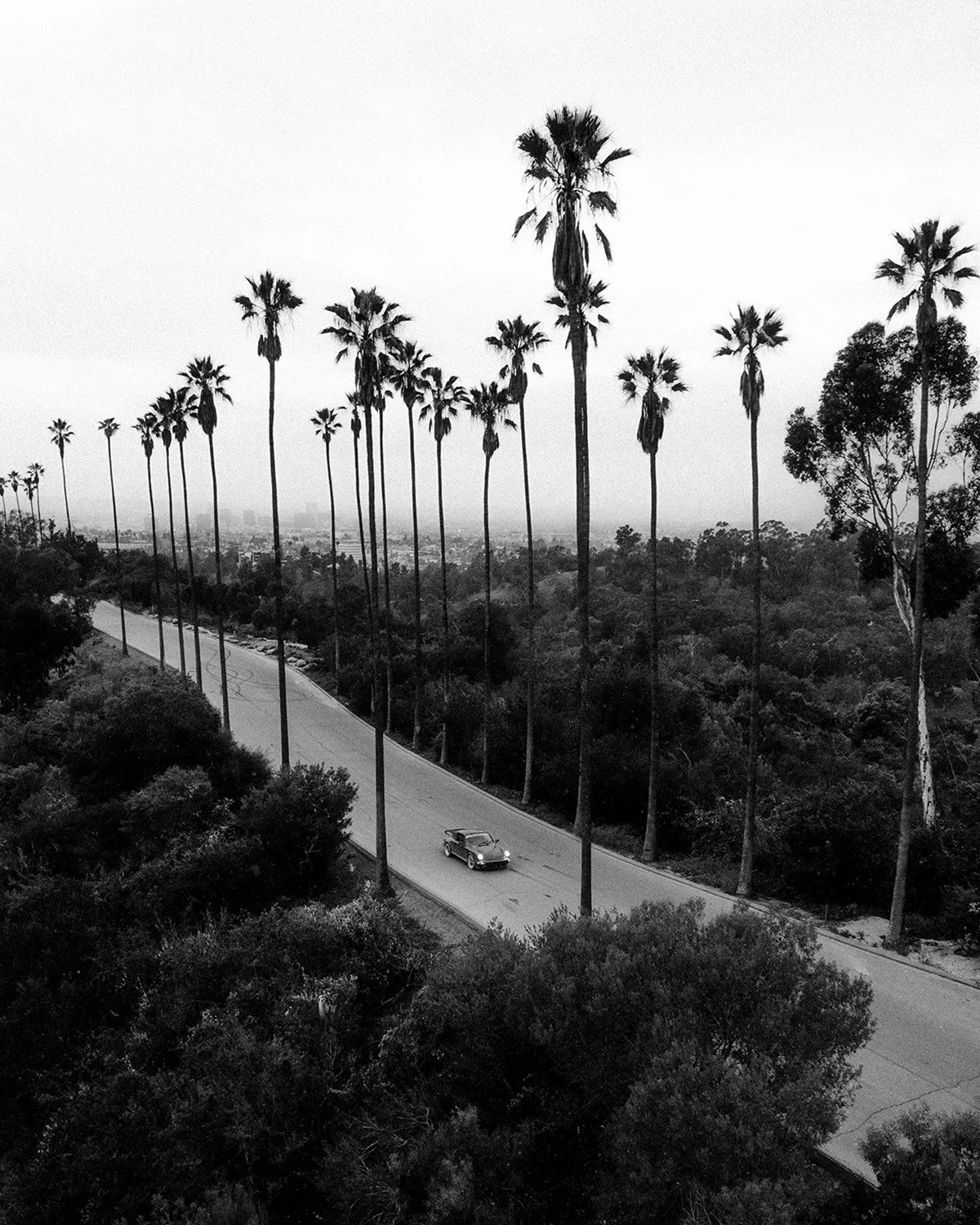 PALMS & PORSCHE - fine art print by LATENTFORM