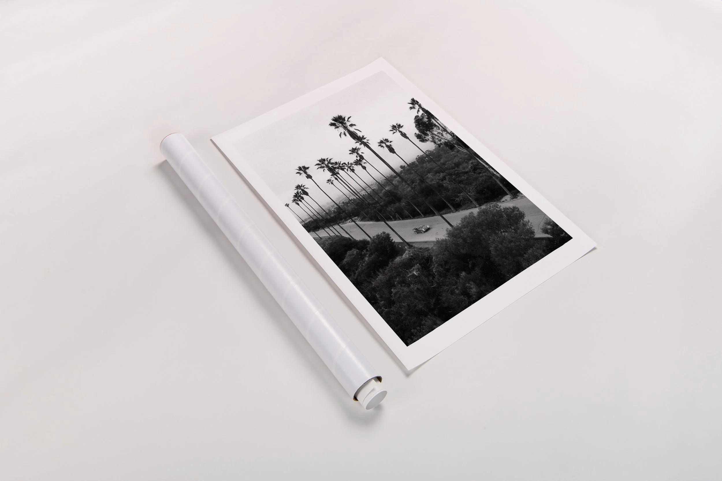 'PALMS & PORSCHE'