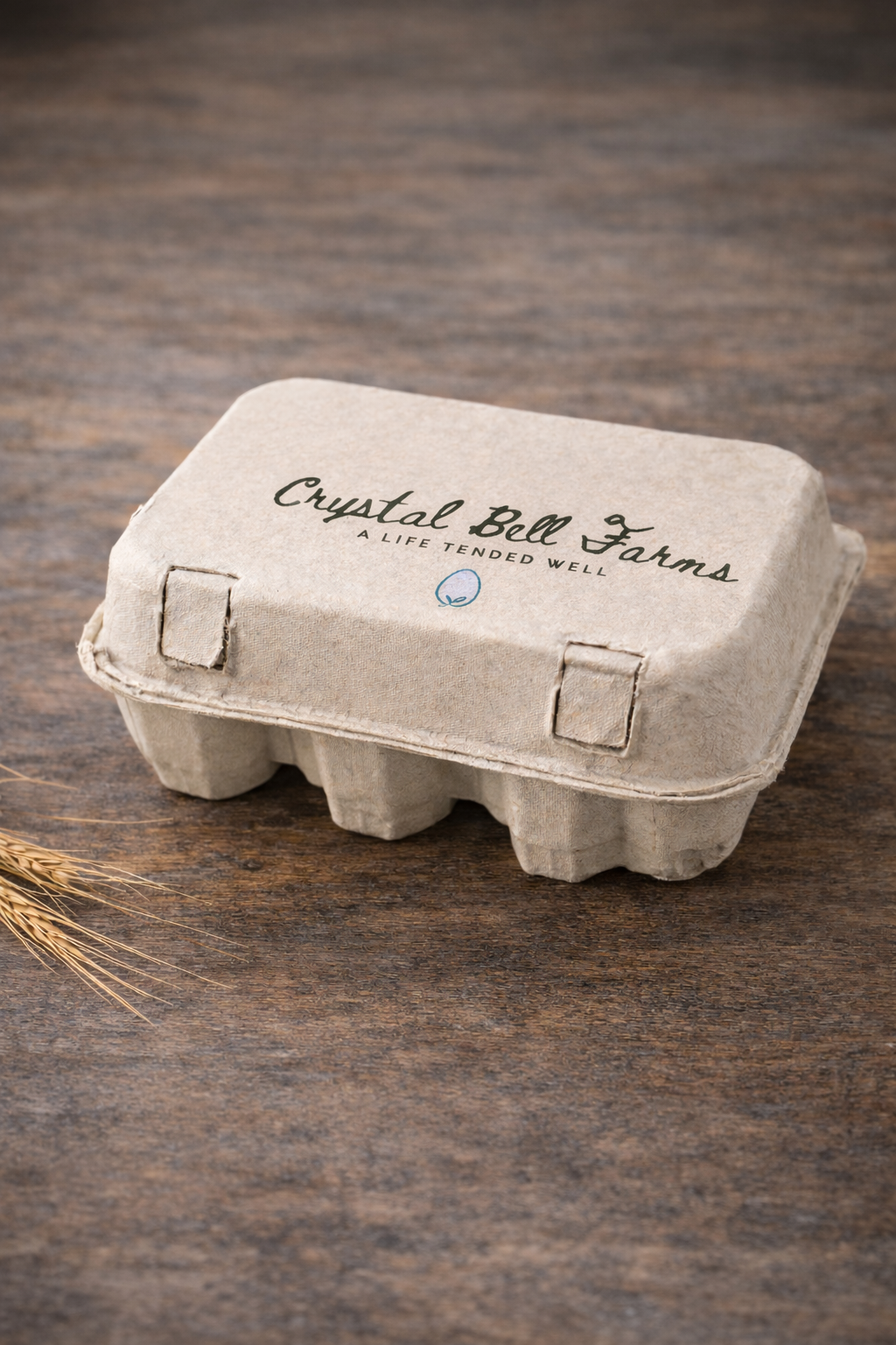 EGG Photos 4.png (Copy)