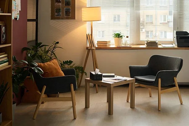 A cozy therapy office or space.