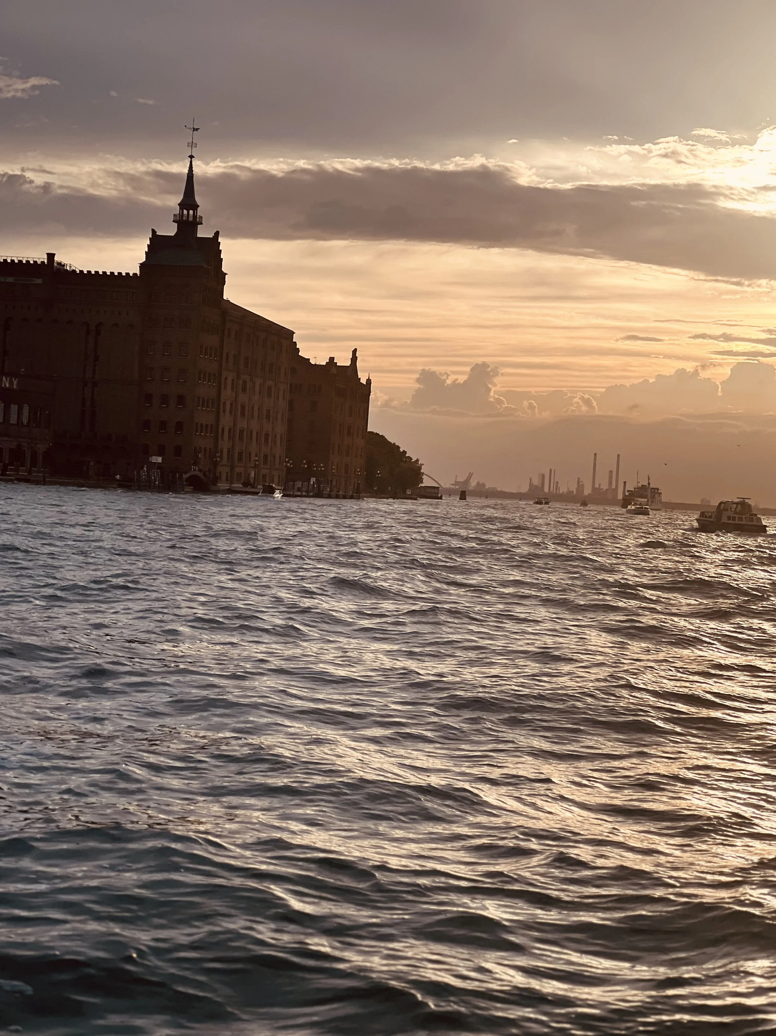 Review, Biennale de Arte, Venezia 2026