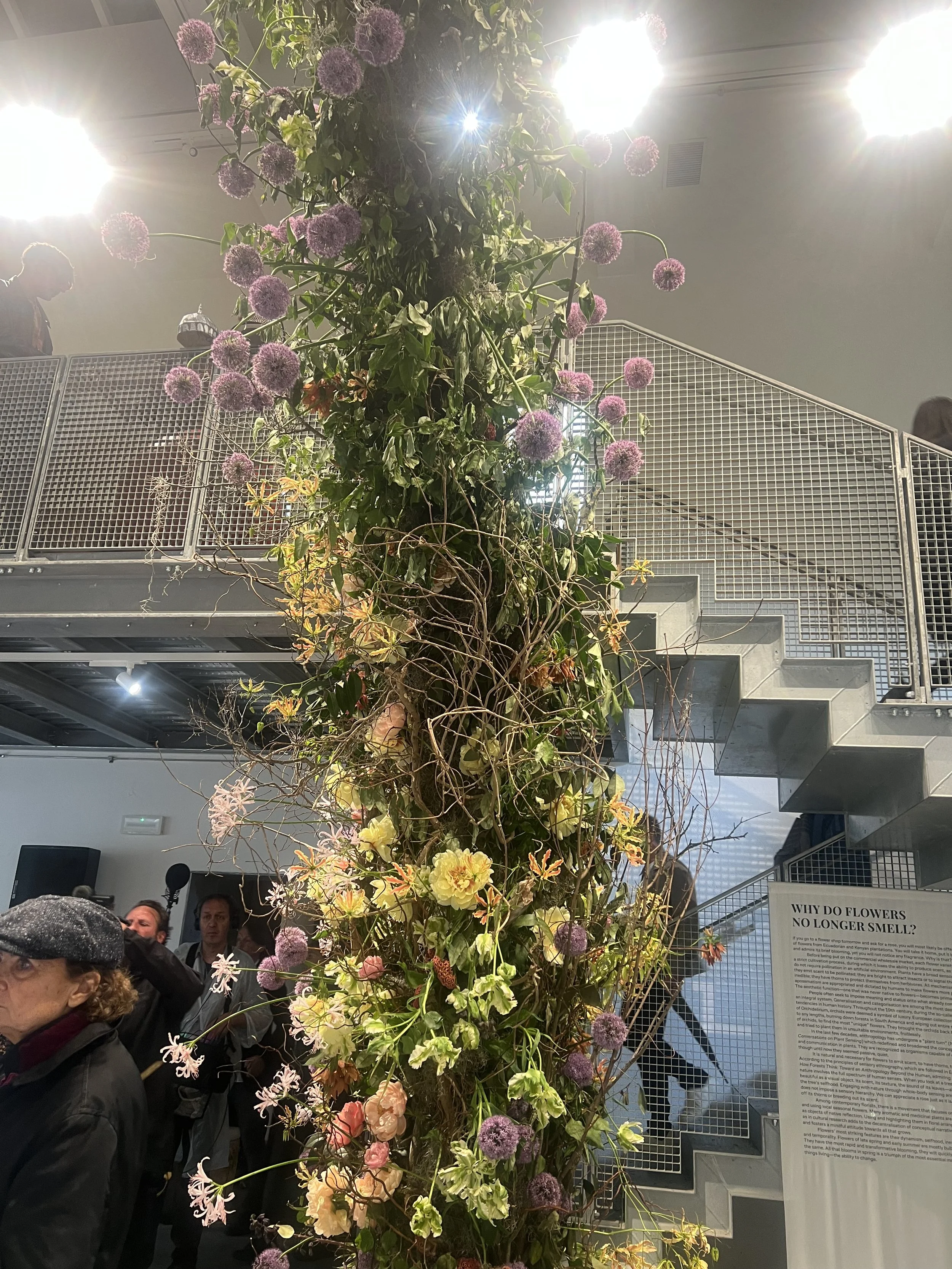Review, Biennale de Arte, Venezia 2026