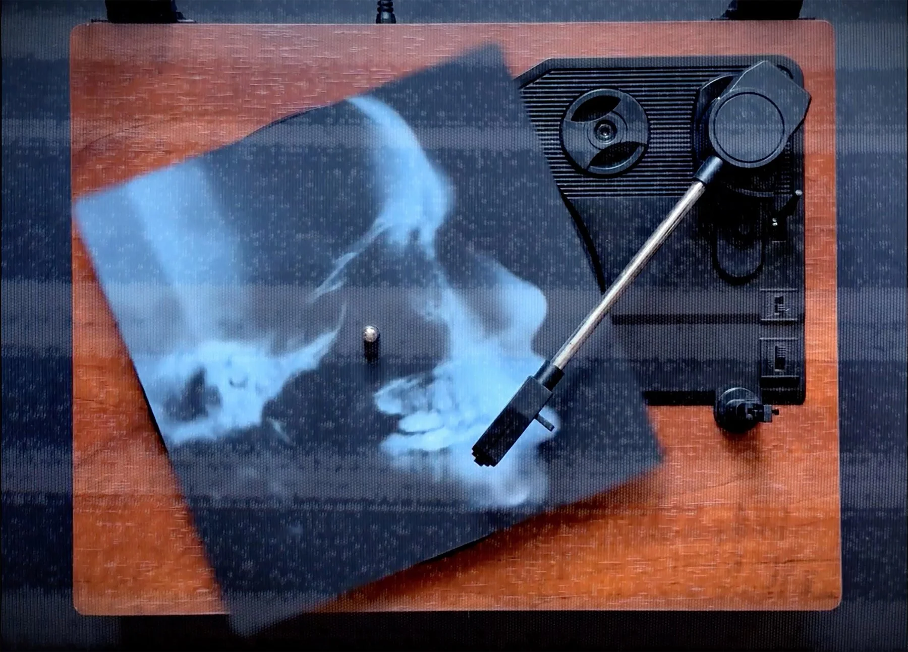 Richard Humann Bone Music Turntable