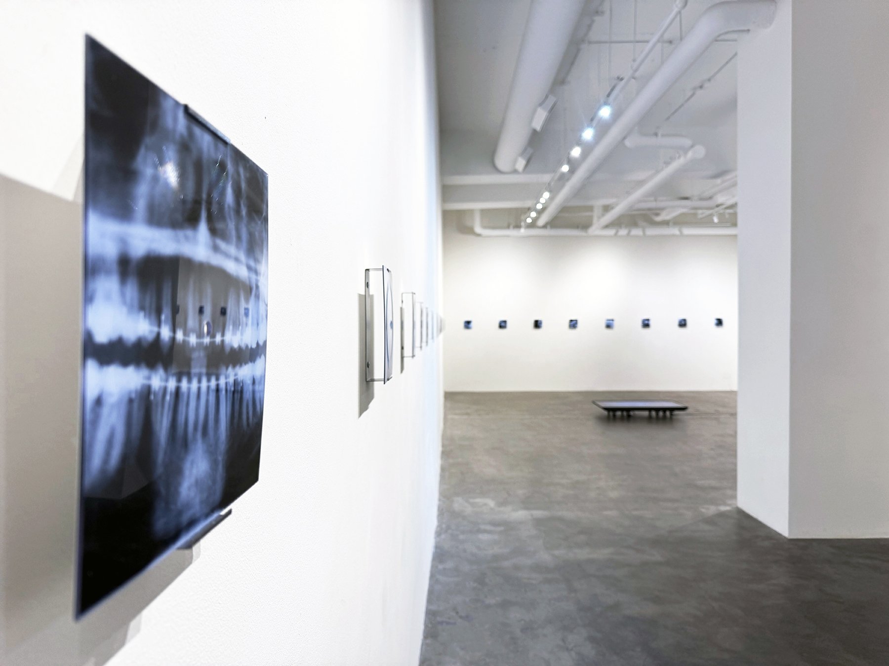 Richard Humann art exhibition at Leonovich Gallery